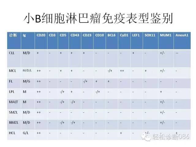 边缘区淋巴瘤（附小B细胞NHL鉴别诊断）