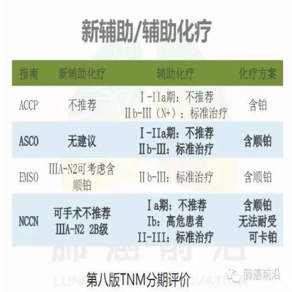 肺癌新分期和分类--临床和研究启示