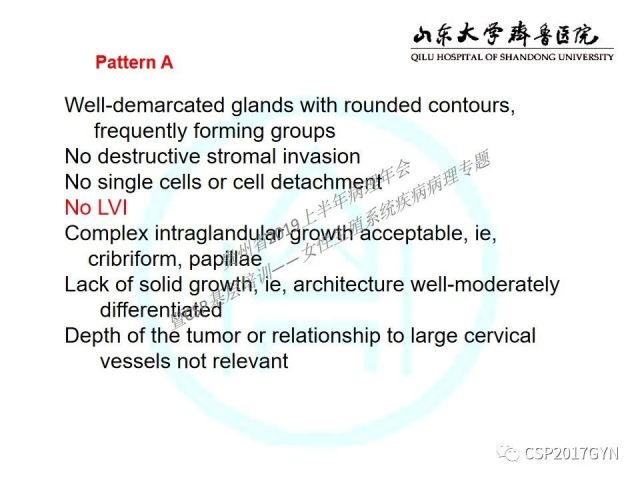 中华病理学会基层培训遵义站讲座（四）——宫颈腺癌的诊断及新分型
