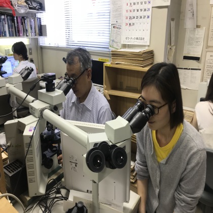 日本顺天堂大学医院病理专业访学见闻