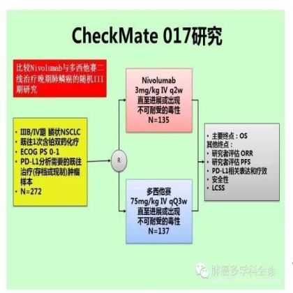 2015晚期肺鳞癌治疗热点回顾