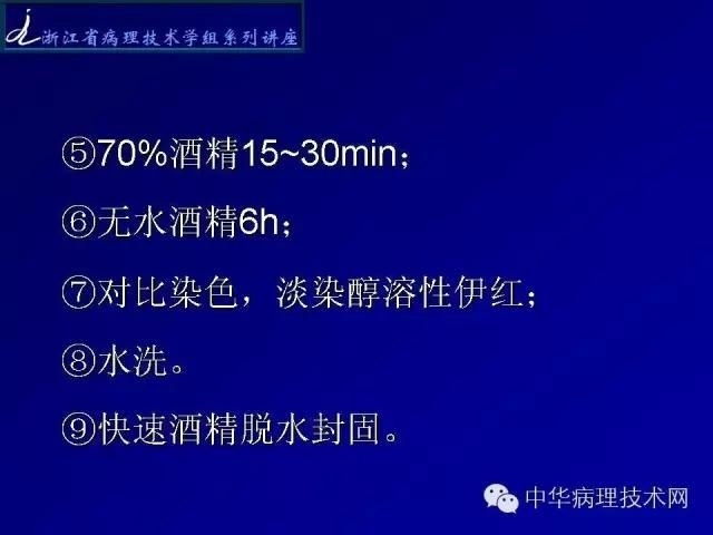特殊染色-铜染色