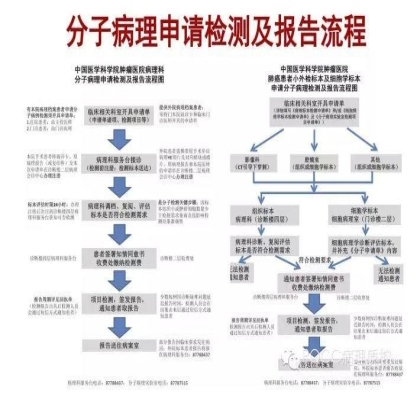 PQCC示范实验室展示——中国医学科学院肿瘤医院