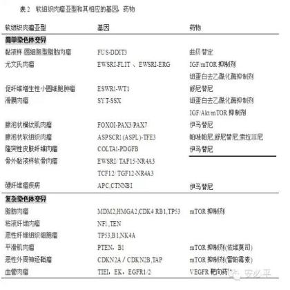 软组织肉瘤辅助诊断方法——FISH探针系列