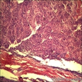 2012-06-06