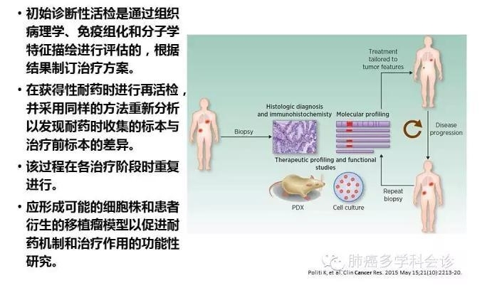 肺癌靶向治疗重要进展荟萃（2015 ASCO）