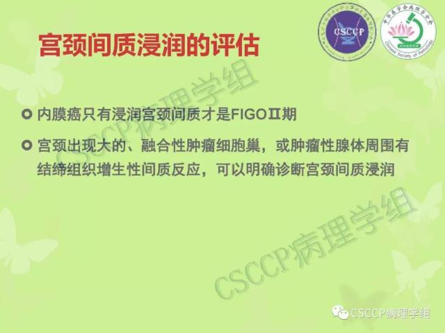 宫颈与子宫病变病理标本取材