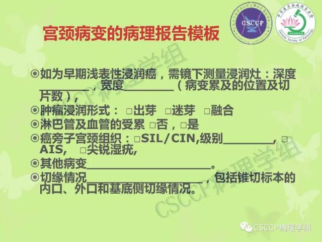 宫颈与子宫病变病理标本取材