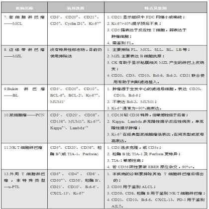 淋巴瘤病理诊断中的抗体选择
