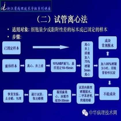 细胞蜡块的制作