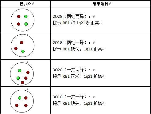 血液肿瘤FISH检测判读建议(四): 基因扩增