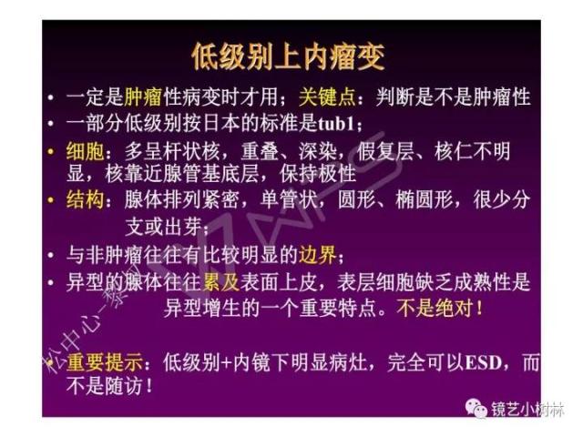 上消化道早癌病理的学习心得体会（附胃牵手癌的病例特点文献学习）