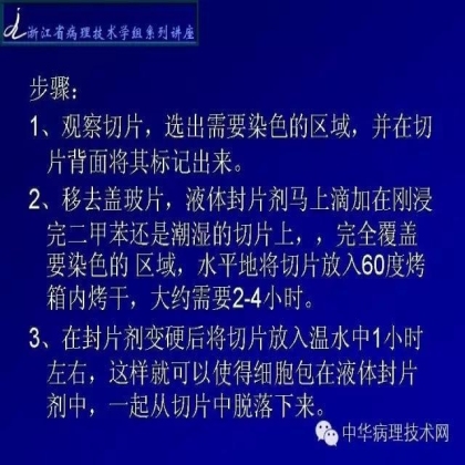 黑色素免疫组化的处理