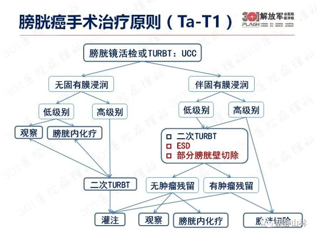 泌尿系统常见肿瘤标本病理报告规范