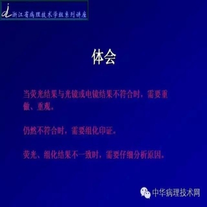 探讨免疫组织学在肾穿标本中的应用