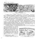 默认相册