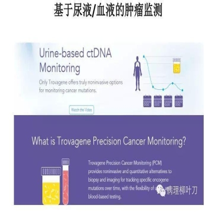肿瘤精确医疗与分子病理检测