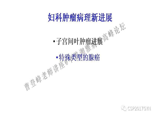 妇科肿瘤病理新进展——特殊类型的腺癌