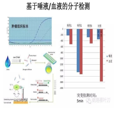 肿瘤精确医疗与分子病理检测