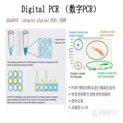 肿瘤精确医疗与分子病理检测