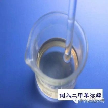 免疫组化液态阳性对照