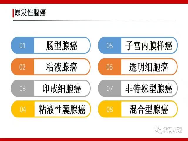 泌尿课程/尿路腺样病变的诊断要点