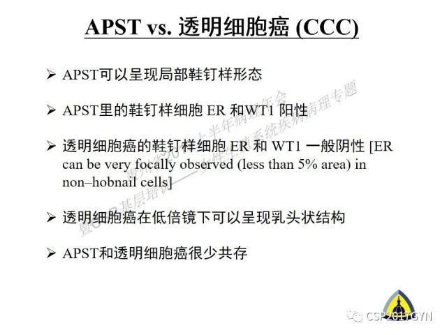 中华病理学会基层培训遵义站讲座（一）——卵巢和输卵管浆液性肿瘤的诊断和鉴别诊断