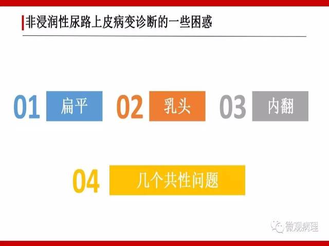 泌尿课程/非浸润性尿路上皮病变诊断的一些困惑