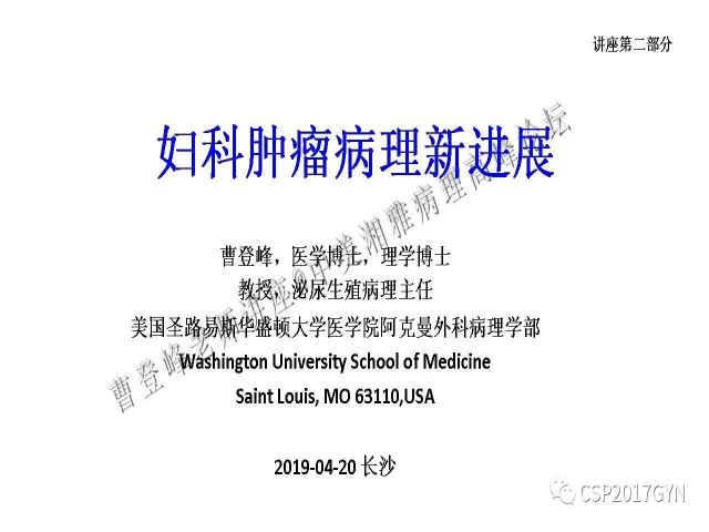 妇科肿瘤病理新进展——特殊类型的腺癌