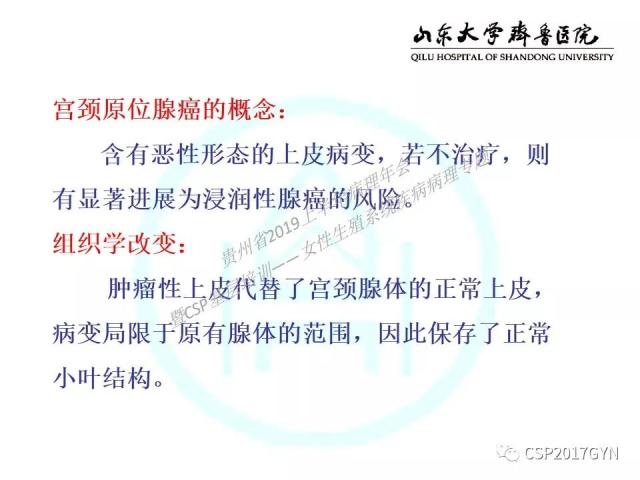 中华病理学会基层培训遵义站讲座（四）——宫颈腺癌的诊断及新分型