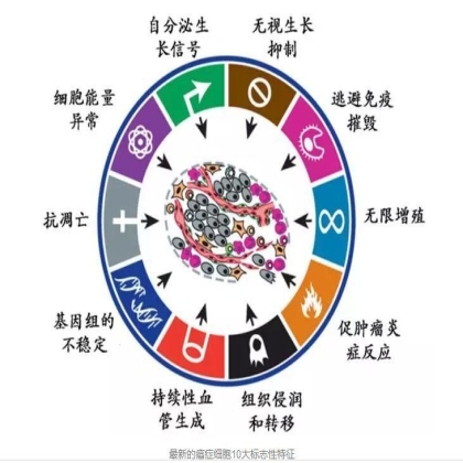 通路 | NF-κB pathway参与炎症、免疫和肿瘤之间的纷争