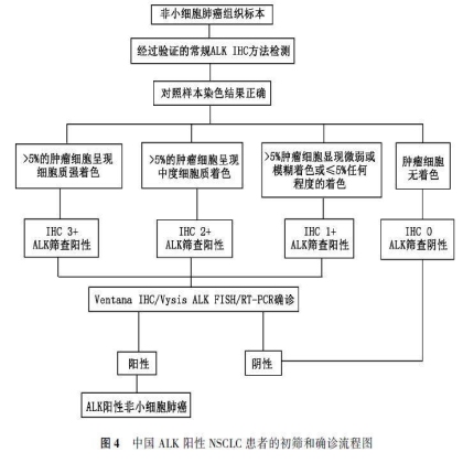 常规免疫组织化学初筛ALK阳性 非小细胞肺癌专家共识——摘自（中华病理学杂志2015年第7期）