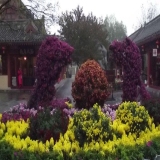 2011-11-06