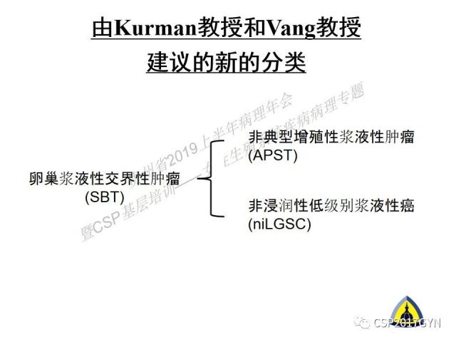 中华病理学会基层培训遵义站讲座（一）——卵巢和输卵管浆液性肿瘤的诊断和鉴别诊断