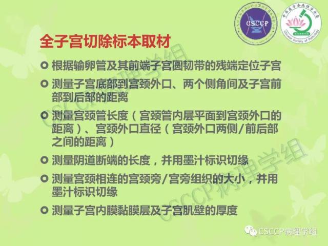 宫颈与子宫病变病理标本取材