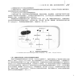 默认相册