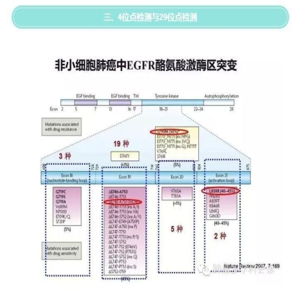 EGFR基因突变检测--基础篇