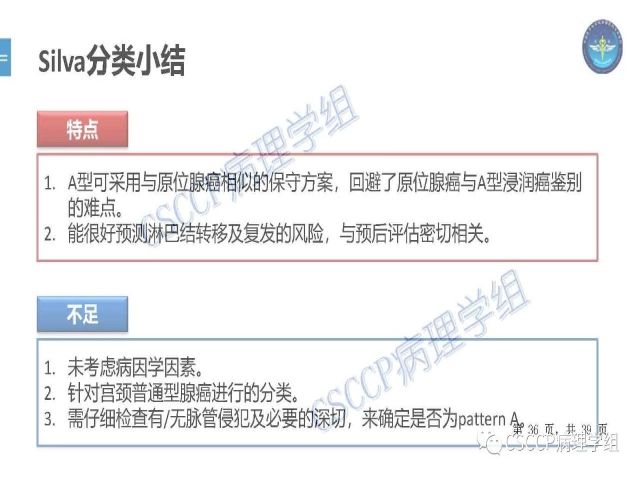 黄文亭 张询：宫颈腺癌分类介绍