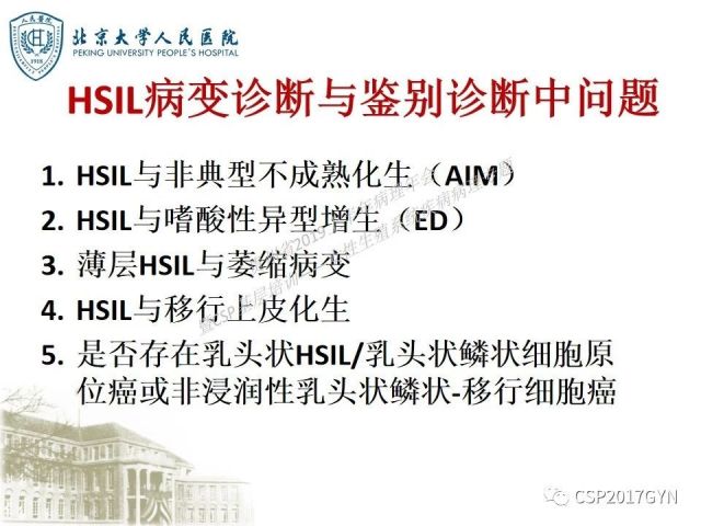 中华病理学会基层培训遵义站讲座（三）——宫颈鳞状上皮病变的病理诊断与鉴别诊断