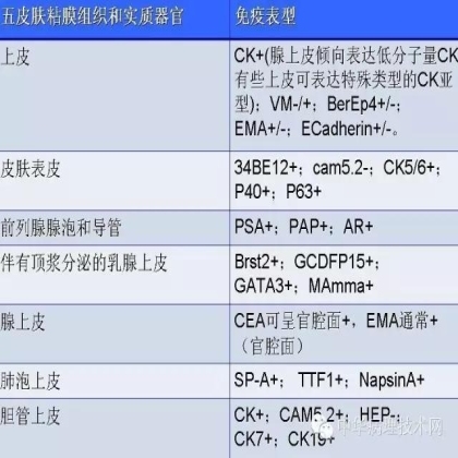 免疫组化结果的分析和常见问题的处理