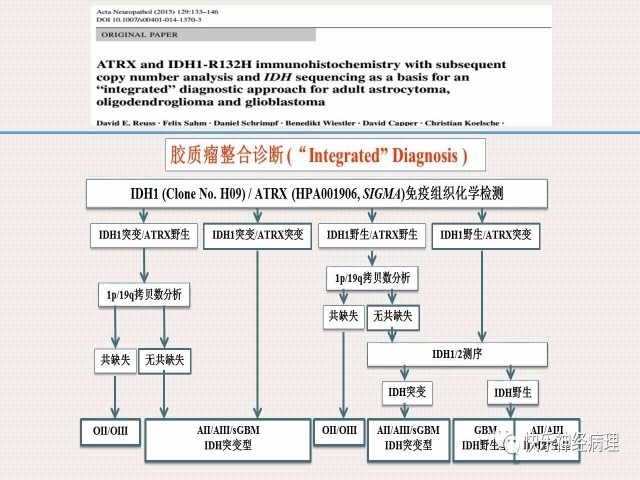 胶质瘤分子结果矛盾时如何整合诊断