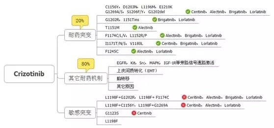 ALK融合阳性NSCLC的耐药对策