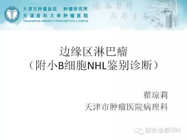 边缘区淋巴瘤（附小B细胞NHL鉴别诊断）