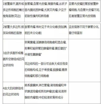 肿瘤病理学分类大全