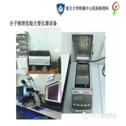 PQCC示范实验室展示——复旦大学附属中山医院病理科
