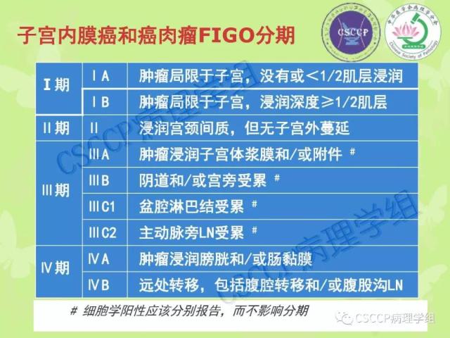 宫颈与子宫病变病理标本取材