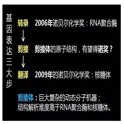 国自然科学问题分析： mRNA也是“拼接”范儿