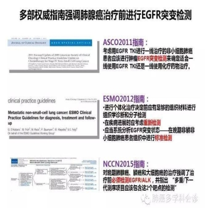 EGFR基因突变检测--基础篇
