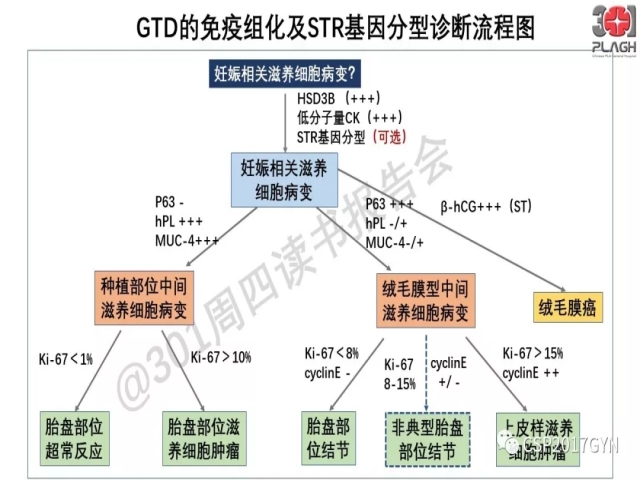 中间型滋养细胞肿瘤的诊断及鉴别诊断