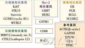 乳腺癌21基因